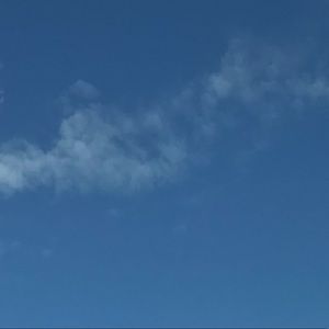 Meet your Posher, Lilly